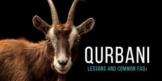 What Qurbani is, what urban means, why should I do Qurbani?