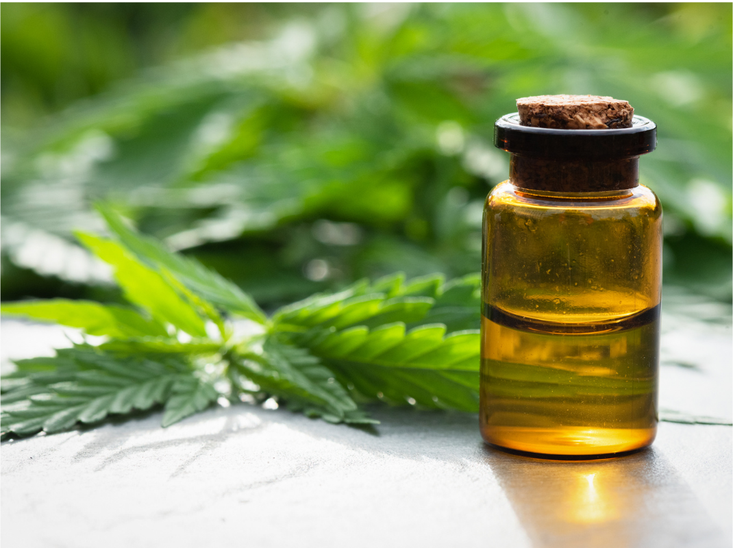 How to Start Selling CBD products