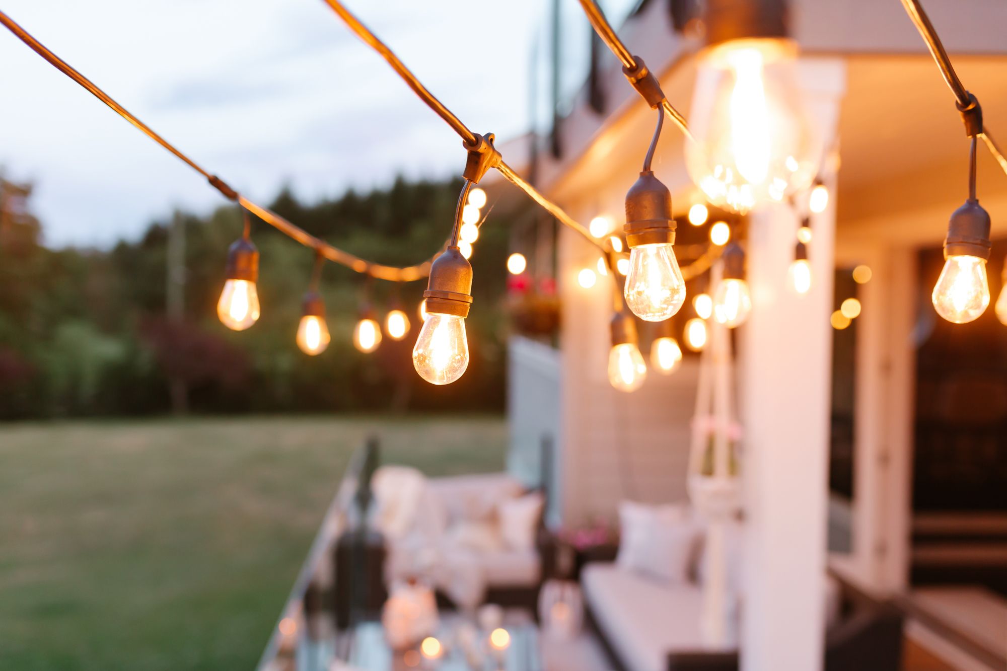 Buy the best Festoon Light Bulbs to save power usage