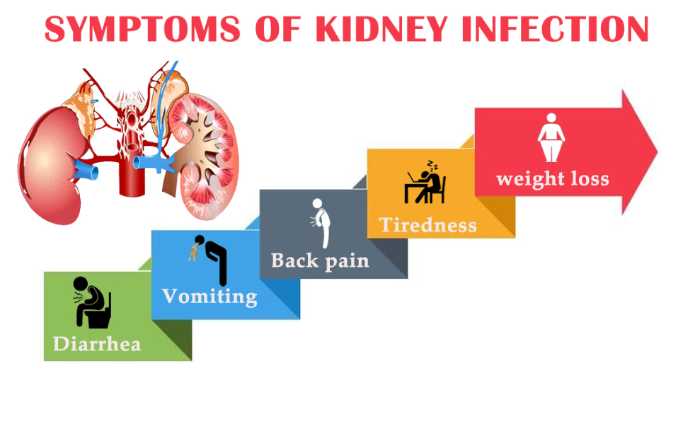 Kidney Infection