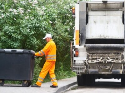 Reasons to Hire Rubbish Removalists for Green Waste From Garden