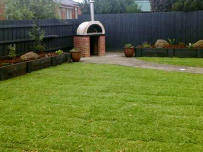 The Best Turf Solution for Residential and Commercial Properties is Sir Walter Turf