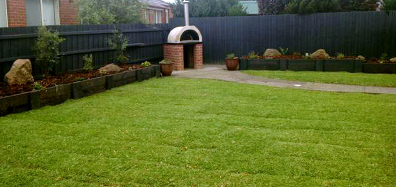 The Best Turf Solution for Residential and Commercial Properties is Sir Walter Turf