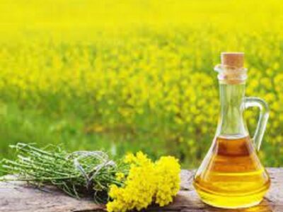 indian mustard oil market share