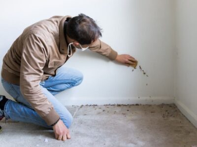 Common Symptoms of Mold