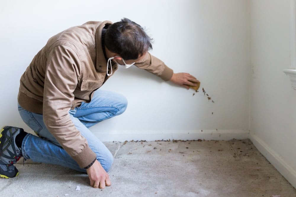 Common Symptoms of Mold