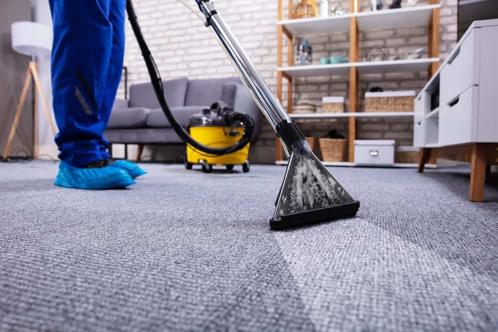 Home Carpet Cleaners