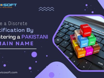 pakistani domain name